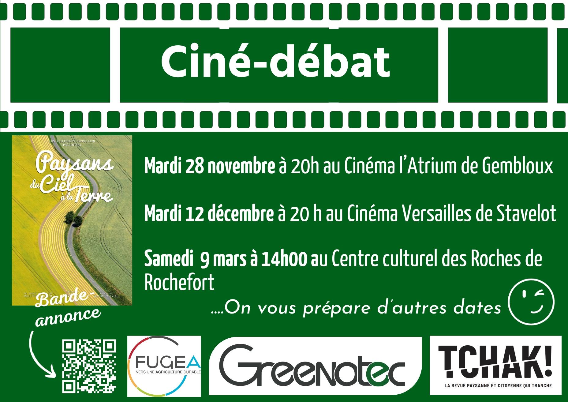 Affiche cinemas 4