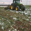 Mulchage catros phacelie ta avoine vesce 6