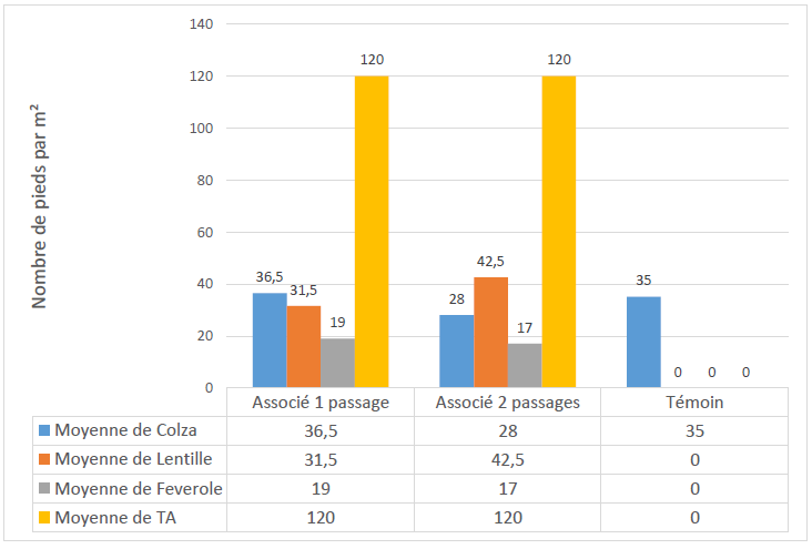 Nb pied m colza et methode semis