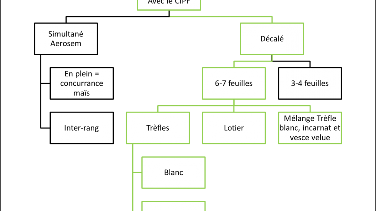 Arbre decision des essais