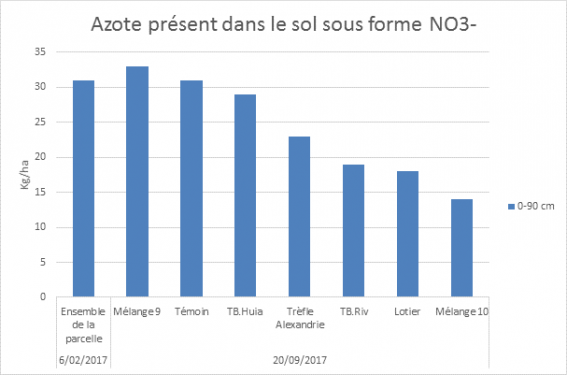 Azote 1