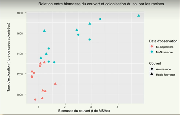 Biomasse couvert et racine agtransfert