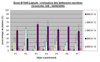 ccomp-essai-bts06-lignyib-croissance.jpg