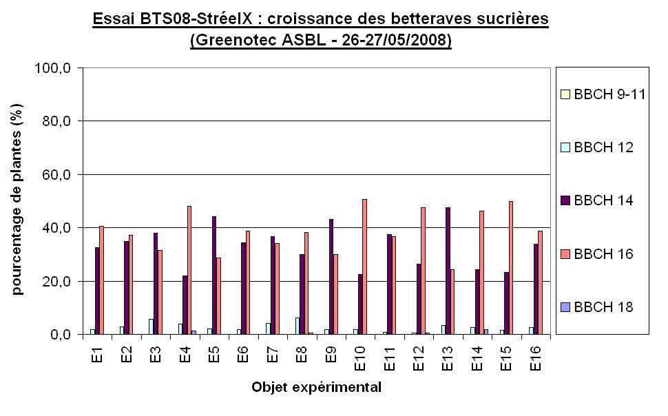 Ccomp essai bts08 streeix croissance