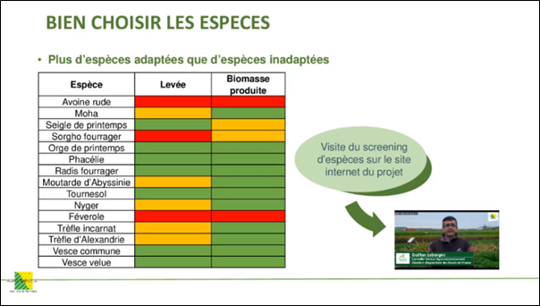 Especes a la volee ag transfert