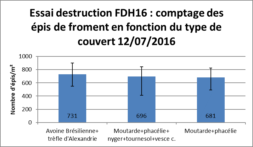 Comptage des épis de fromant en fonction du type de couvert