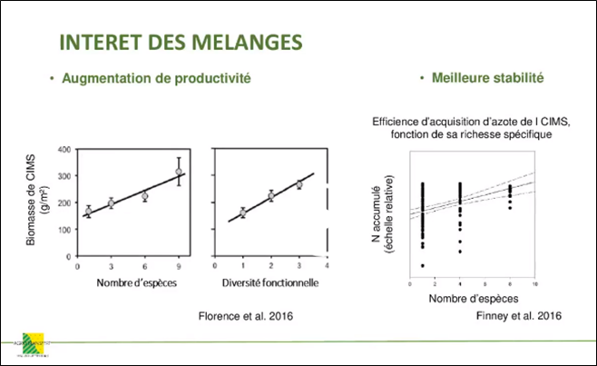 Interet des melanges de couverts agtransfert