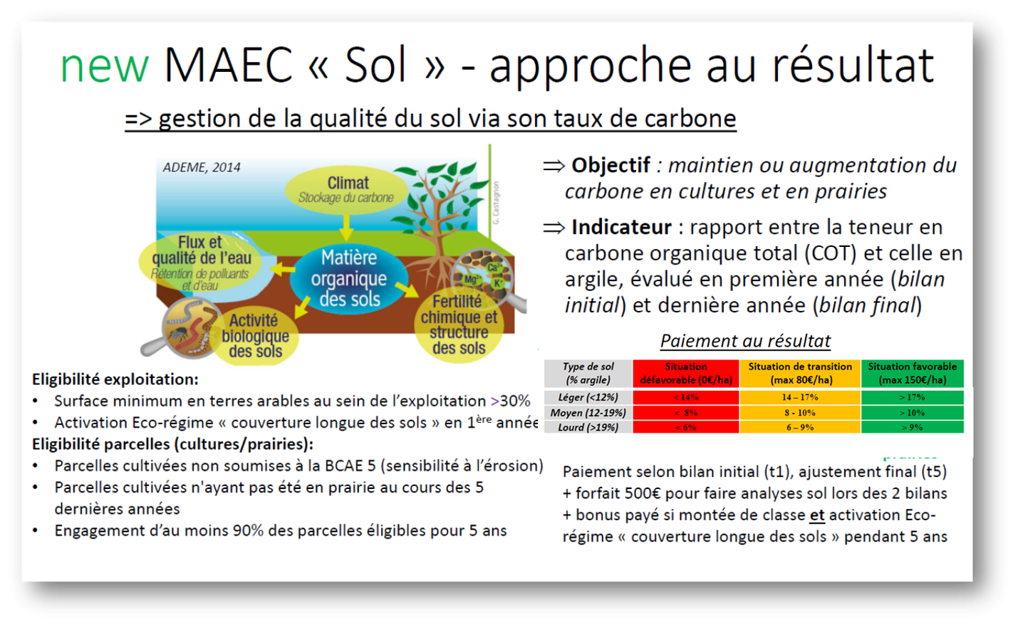 Maec