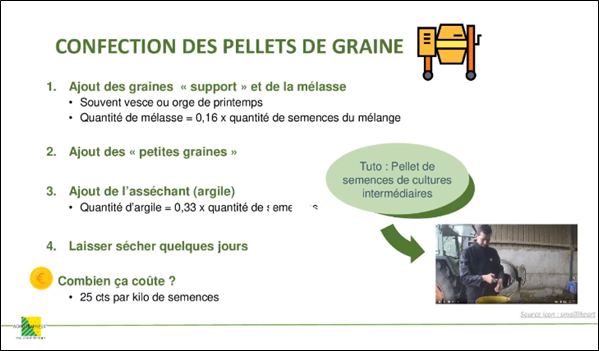 Pellet de graines couvert ag transfert