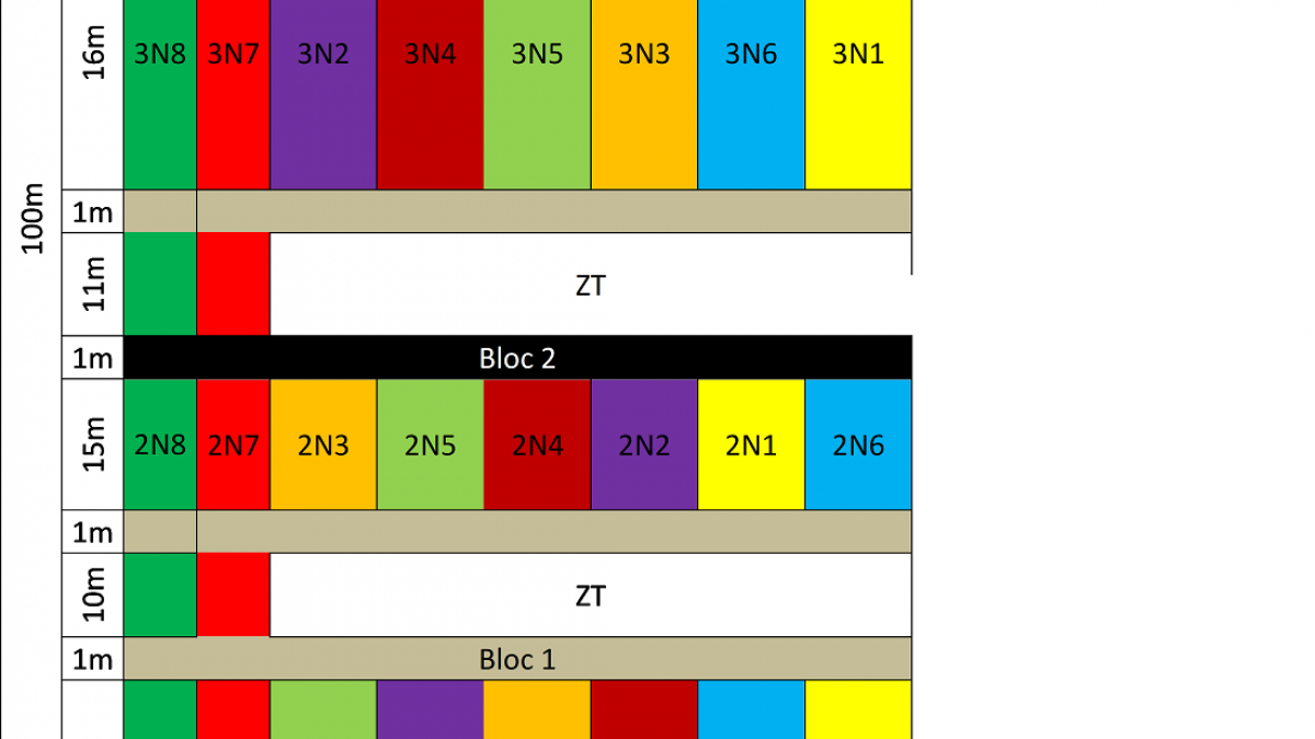 Plan essai de sous semis de legumineuse