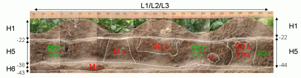 Porosite pc a6 1