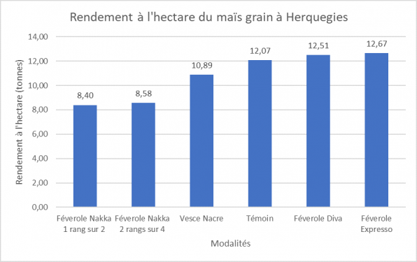 Rendement mais a herquegies