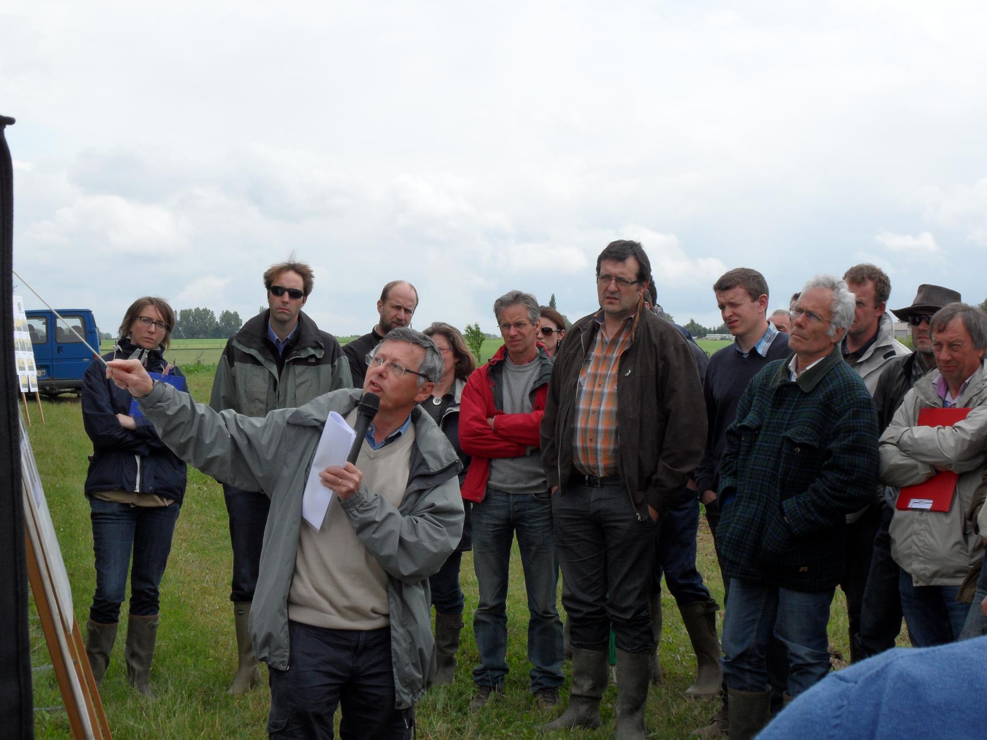 AGO 2013 (Strip-Till)