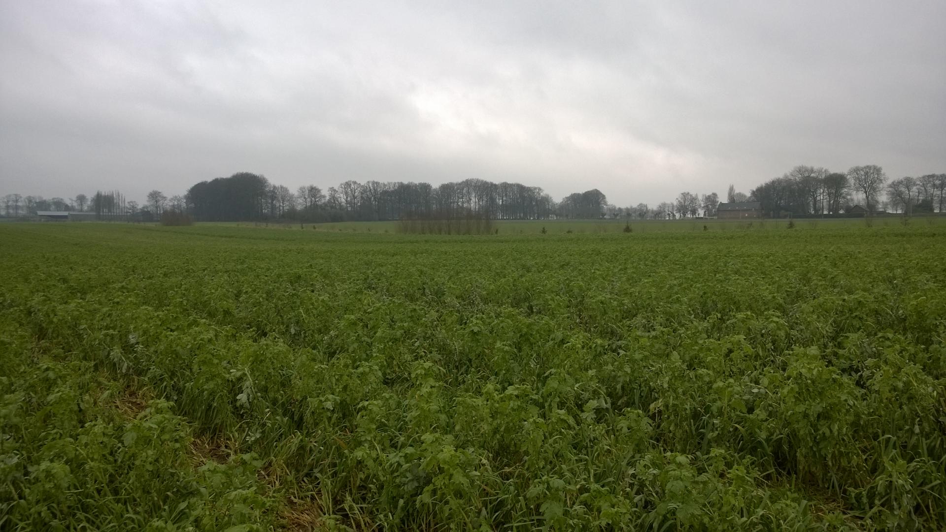 Redécoupage des parcelles